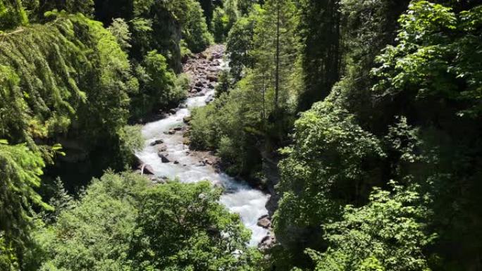 野生山溪溪水之歌溪边之景溪畔之趣