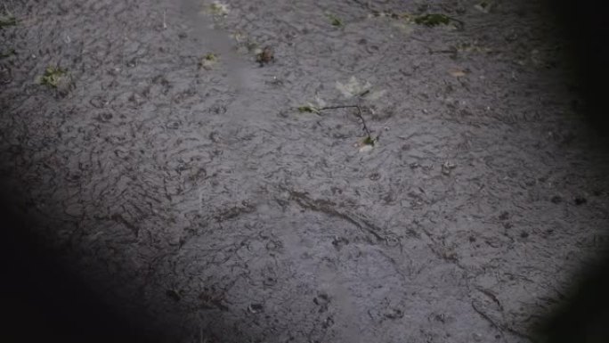 外面一场强风暴。冰雹淋浴的俯视图。雨滴在树枝后面的一个巨大水坑里打圈，一片黑暗阴暗的风景。4k 50