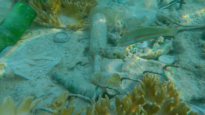 慢动作。热带鱼游过覆盖着大量塑料和其他垃圾的珊瑚礁。红海海底的口罩、塑料瓶、袋子和其他杂物。