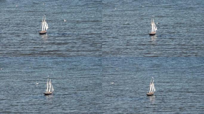 遥控两艘桅帆船在平静的波罗的海上行驶。