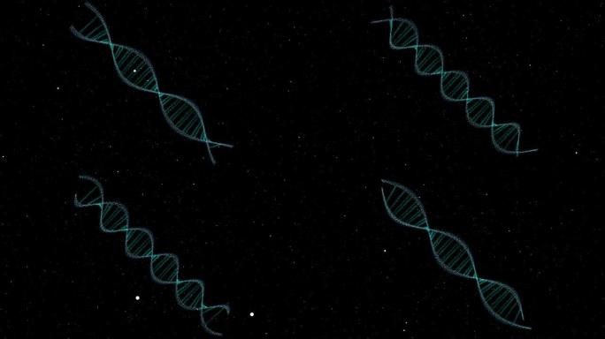 DNA形状突变改变身体以获得更多的螺旋，并最终恢复正常