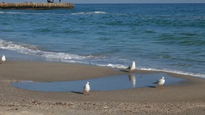 秋天的空海海滩