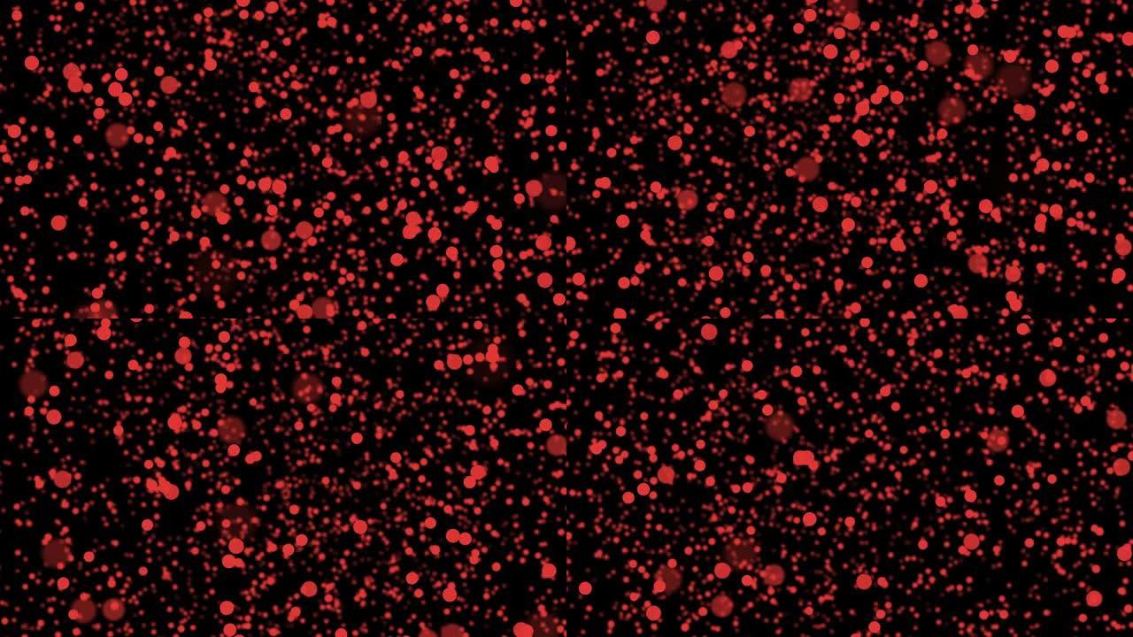 红血球是黑色背景上的随机飞行动画。无缝循环动画