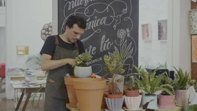 植物学家在一家小型植物学和礼品店里盆栽植物