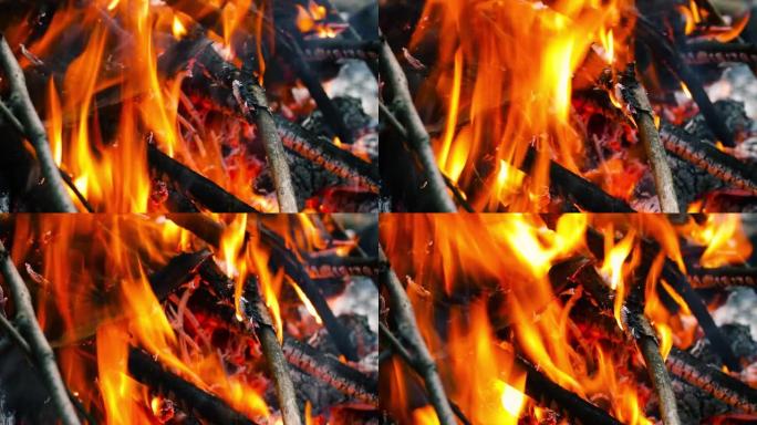 伯宁·伍兹，篝火特写。橙色火焰、白灰和煤。有树枝的壁炉。森林火灾自然灾害粗心行为