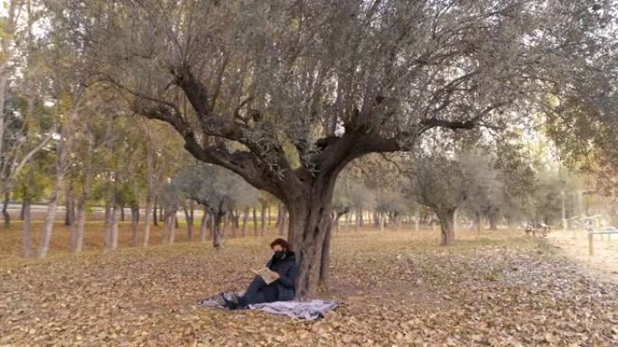 秋天，女人坐在公园的橄榄树下读书