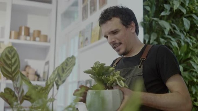 植物学家在一家小型植物学和礼品店里盆栽植物