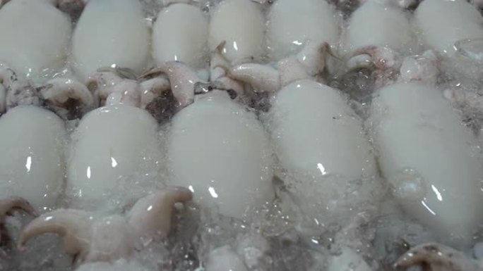 海鲜市场上的新鲜鱿鱼在冰上