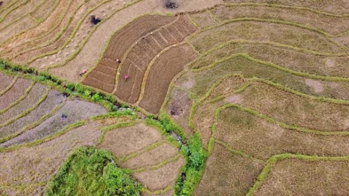 农民耕种土壤的收获季节后的稻田观