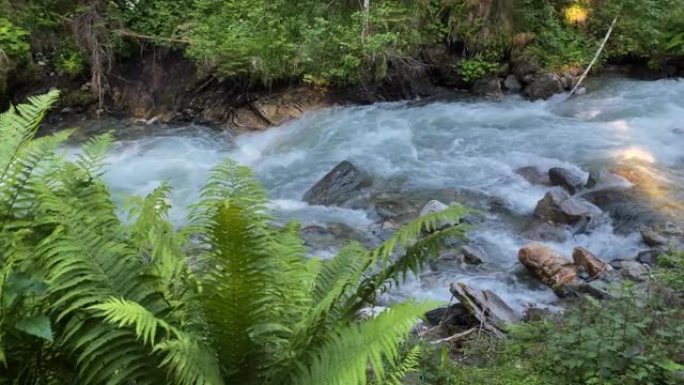 野生山溪森林海氧吧瀑布溪流水