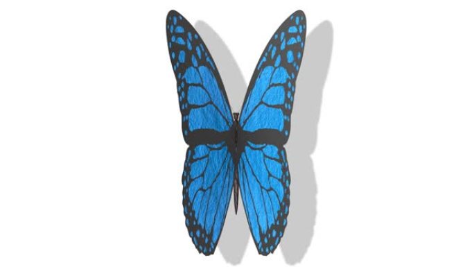 3D插图-视频。张开翅膀的彩色蝴蝶