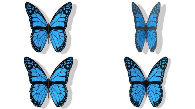 3D插图-视频。张开翅膀的彩色蝴蝶