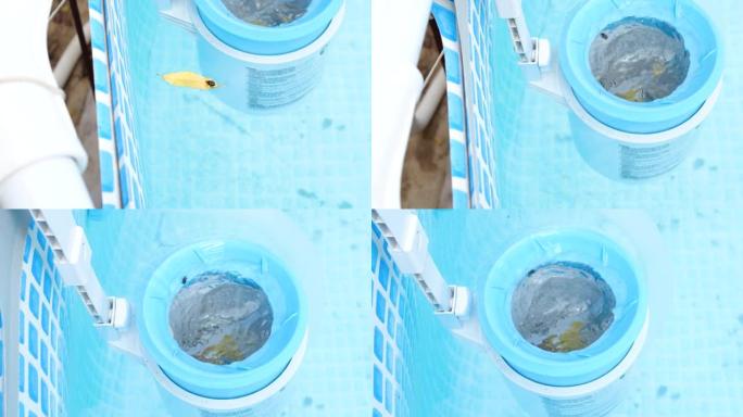 框架池的撇渣器。污染泳池清洁概念