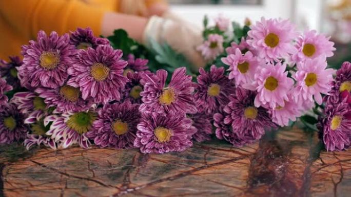花店将粉红色的菊花放在新鲜的紫色花朵上