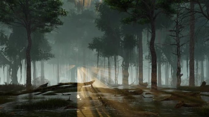 迷雾之夜3D动画森林沼泽上的神奇萤火虫灯