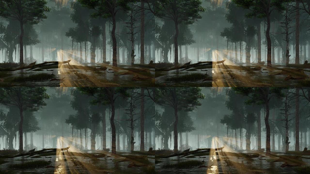 迷雾之夜3D动画森林沼泽上的神奇萤火虫灯