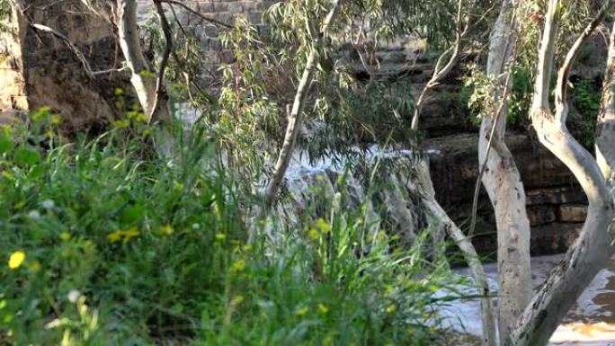 贝特谢安山谷中的哈罗德溪。桉树林中的瀑布和旧渡槽。4K.以色列