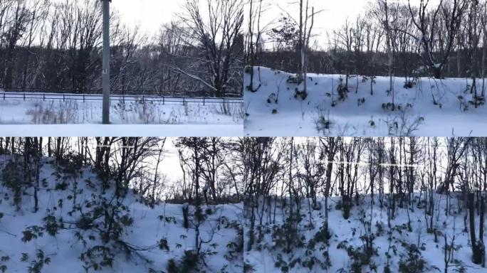 日本札幌火车上的雪景。