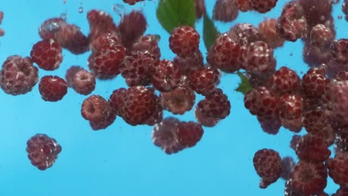 慢动作。把红树莓掉进水里。水下漂浮浆果。