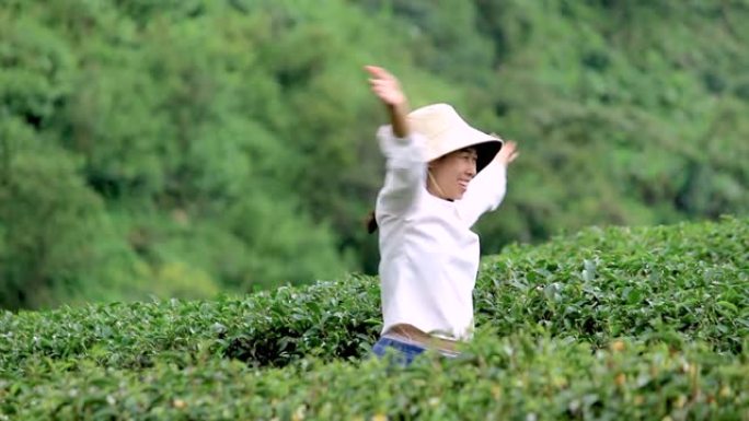 快乐的年轻女游客在茶园散步，欣赏风景。