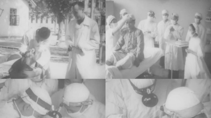 1955年 异体角膜移植试验成功