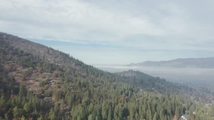 4k空中射击从树木上飞向群山和一团雾