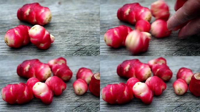 新西兰山药 (Oxalis tuberosa)，也称为uqa或oca。这种异国情调的鲜红色根是安第斯