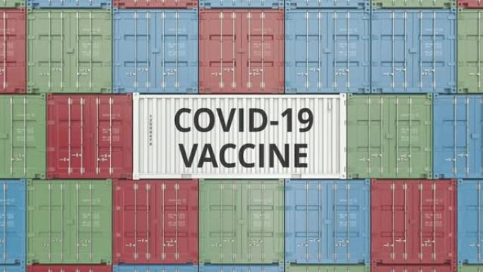 集装箱码头新型冠状病毒肺炎冠状病毒疾病疫苗的集装箱，3D动画