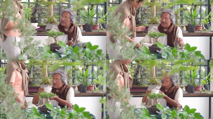 4k亚洲高级男子使用数字平板电脑与互联网销售在线盆景树植物。幸福的退休夫妇家庭在家里的温室里一起享用