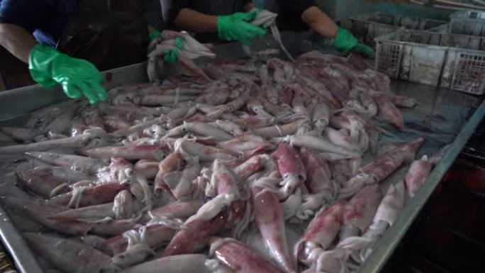 鱼类食品生产单位