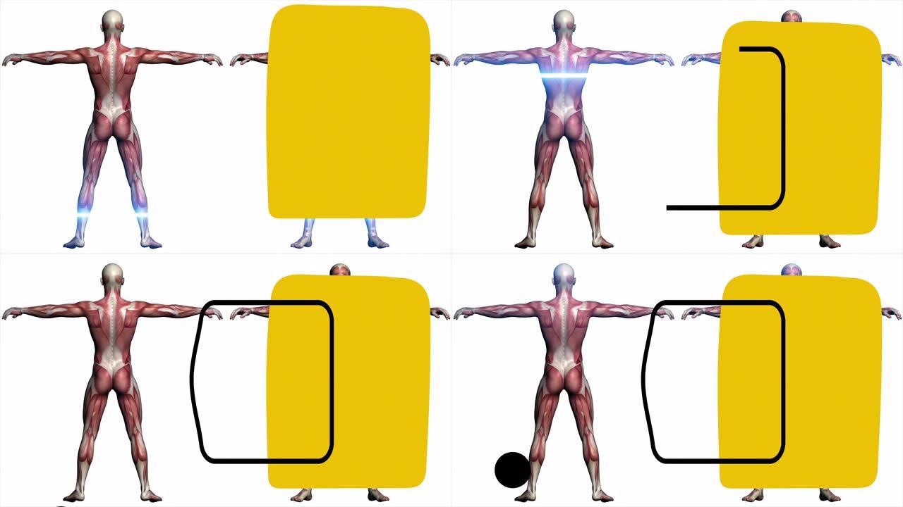 人体解剖学背景视频中最小艺术运动风格的黄色和黑色矩形动画