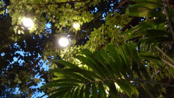 晚上花园节或派对区装饰的照明灯放松自然氛围空间