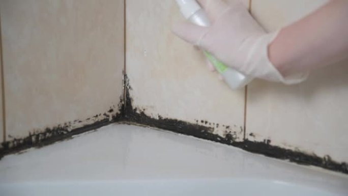 戴手套的手能防霉。真菌始于淋浴间的硅胶腻子。消毒和清洁