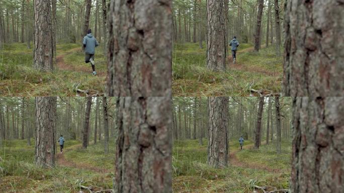 户外锻炼 -- 在森林小径上跑步的人。慢动作滑块拍摄