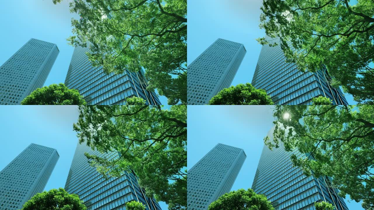 西新宿摩天大楼，美丽清新的绿色