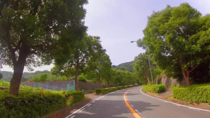 神奈川县一条清新绿色美丽的道路