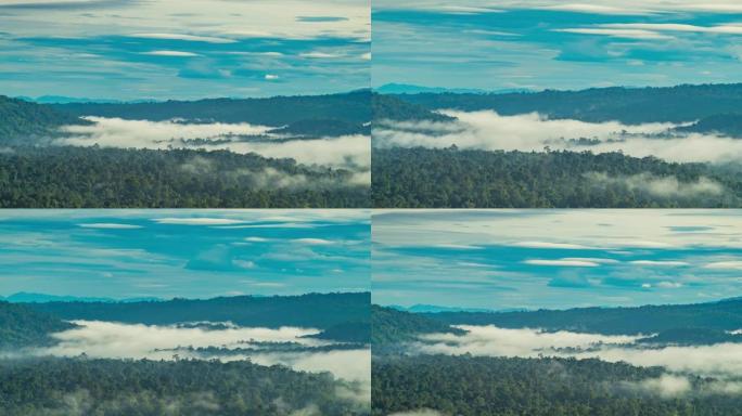 冬季热带森林，雾在山上流动，延时视频