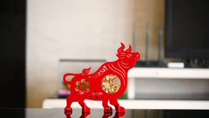 在客厅里欣赏可站立的牛吉祥物，作为牛年的象征，中国人意味着好运