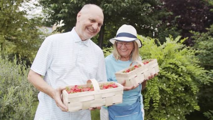 拿着草莓的高级夫妇