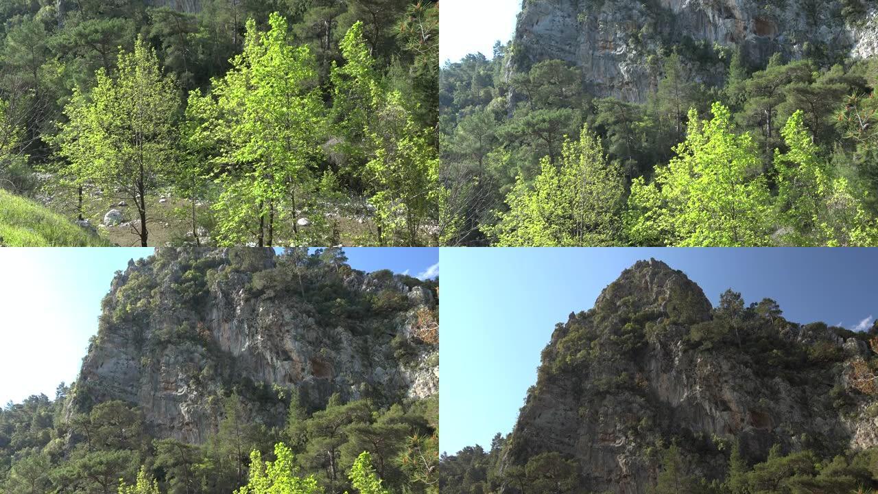 树木稀疏的岩石平坦的山墙