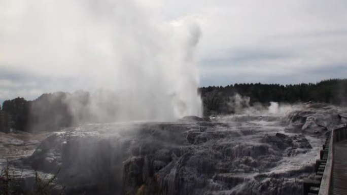 新西兰森林和天空地平线背景下的间歇泉温泉。