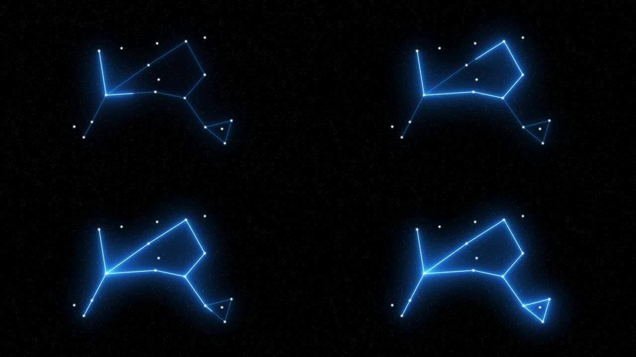 Bootes-带有星域空间背景的动画十二生肖星座和星座符号