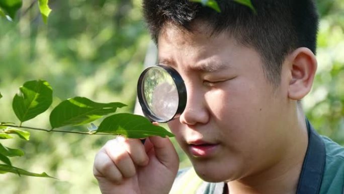 亚洲男孩在户外探险期间使用放大镜进入森林自然保护区。