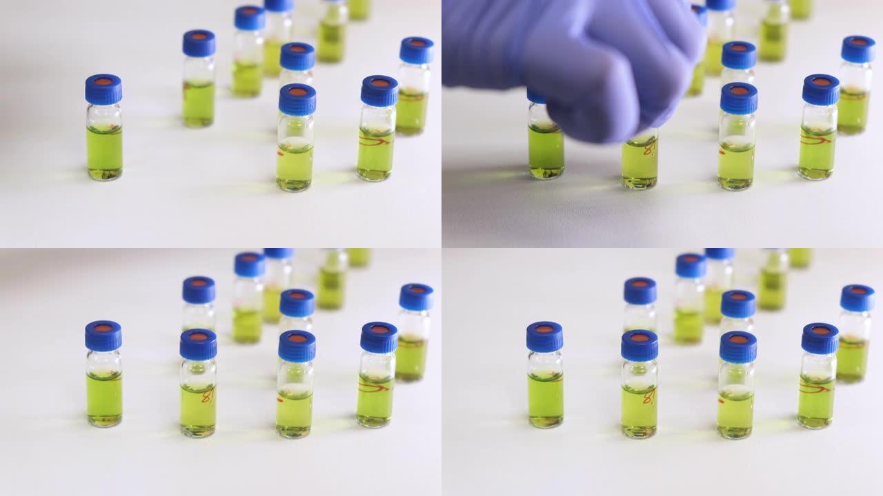 科学家准备用于HPLC或LC MS分析的植物提取物。代谢组学分析。