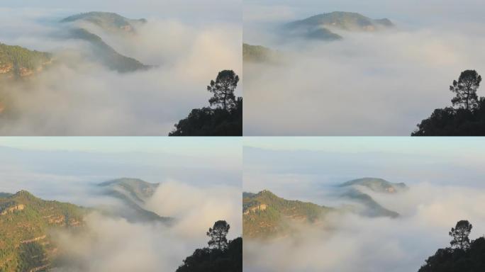 蒙特塞拉特 (Montserrat) 朝北的景色-山谷中的雾天