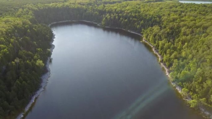 芬兰绿色森林的蓝湖鸟瞰图