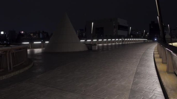 日本樱桥，东京夜景