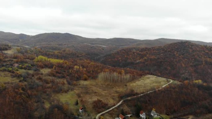秋天落叶林的俯视图-塞尔维亚东部秋天明亮森林的景色-4k无人机拍摄-鸟瞰图: 在美丽的秋天森林上空飞