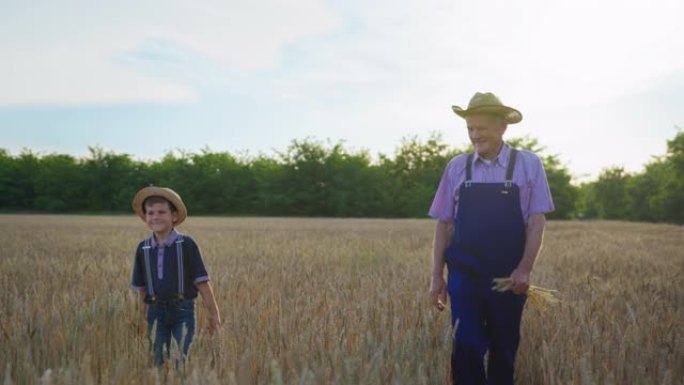 家族企业，年迈的农民祖父带着戴着草帽的孙子走过麦田检查收成，农业