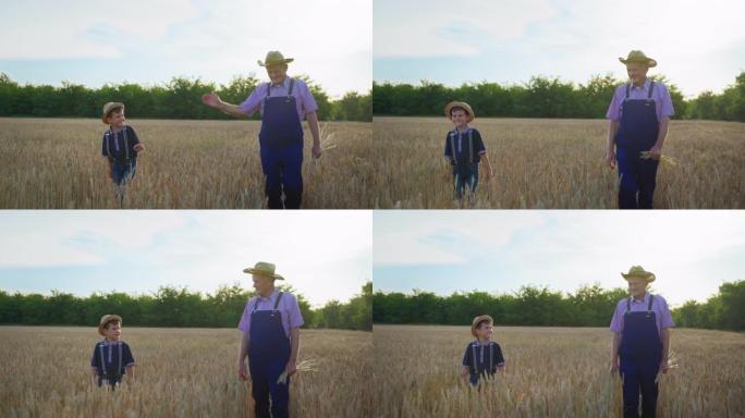 家族企业，年迈的农民祖父带着戴着草帽的孙子走过麦田检查收成，农业